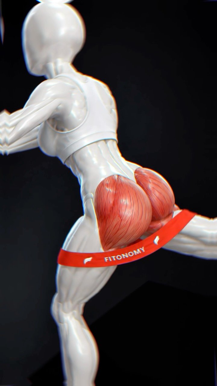 thesquatchallenge 게시물 이미지: Glutes not growing?

If your glutes aren’t...
