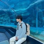 theyesdesign 인스타그램 프로필 사진