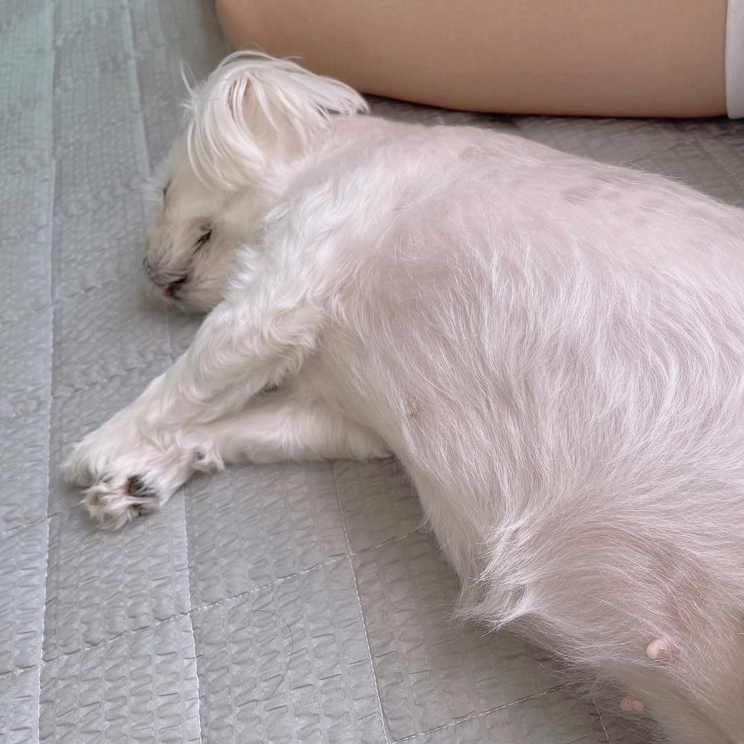 Photo by 샛별 on August 10, 2021.