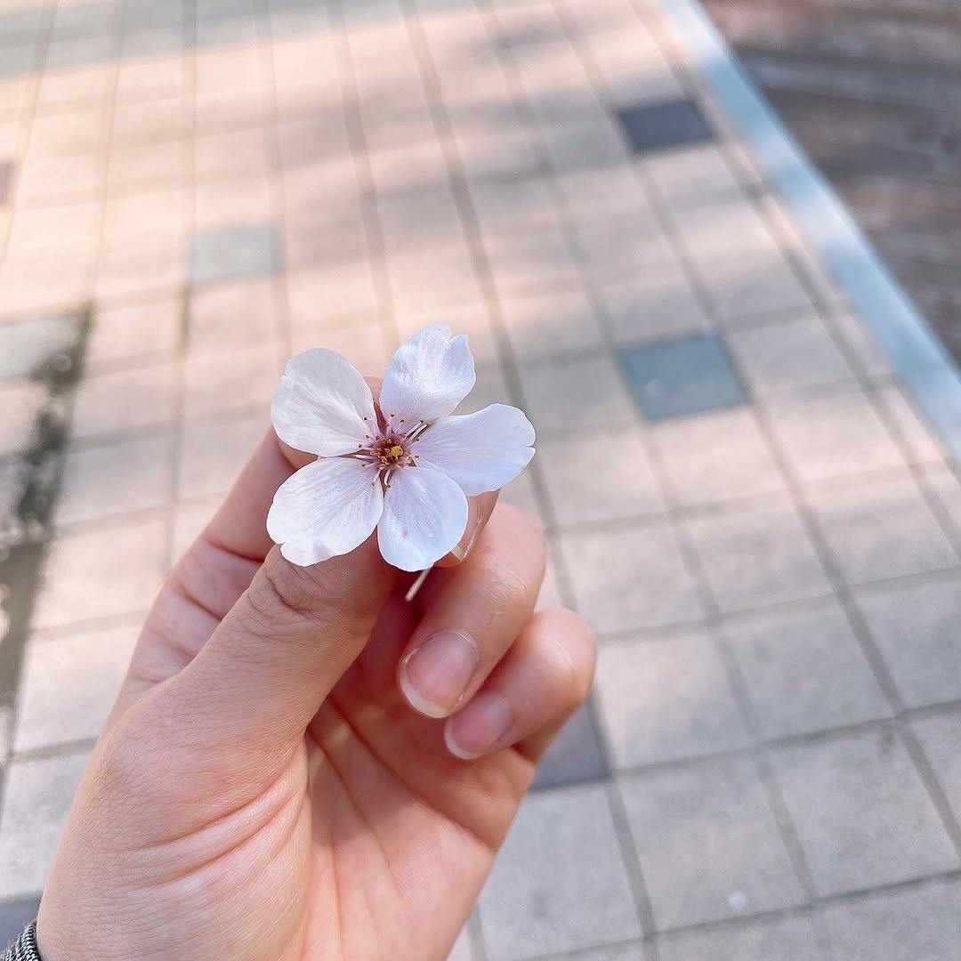 Photo by 샛별 on April 08, 2021.