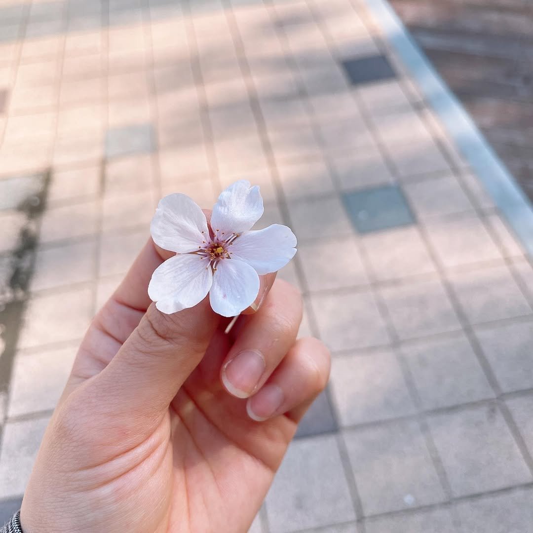 Photo by 샛별 on April 08, 2021.