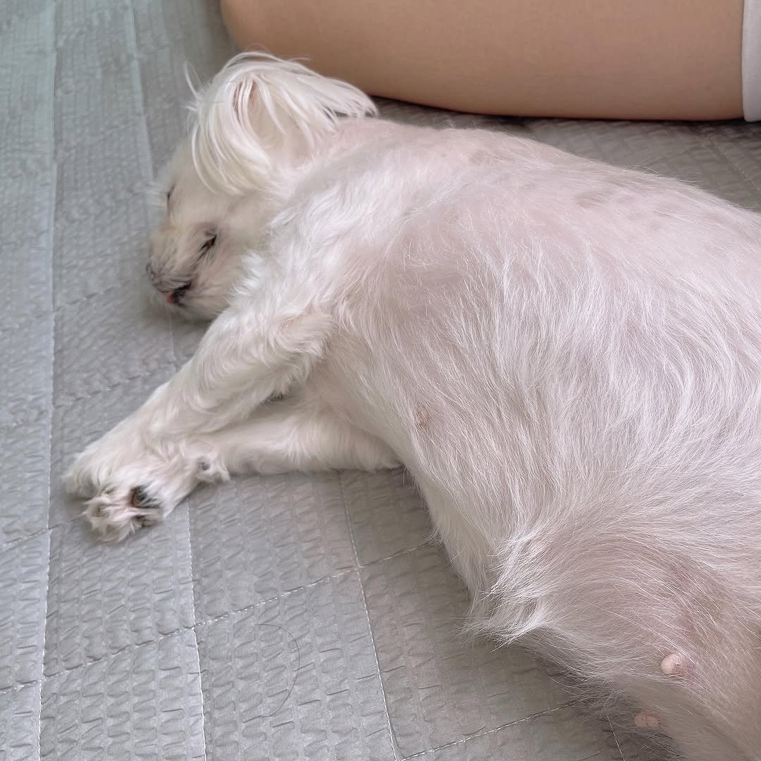 Photo by 샛별 on August 10, 2021.