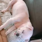 threestar_0712 인스타그램 프로필 사진