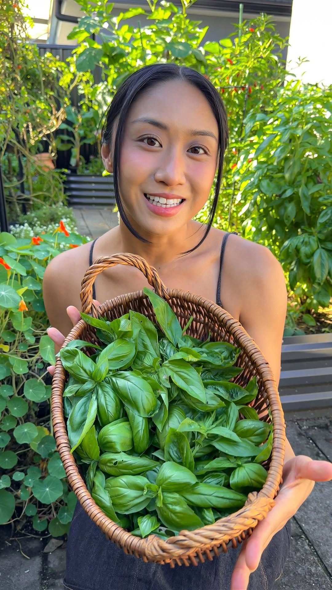 thrivingonplants 게시물 이미지: BASIL OIL 🌿 The perfect way to use up a tonne...