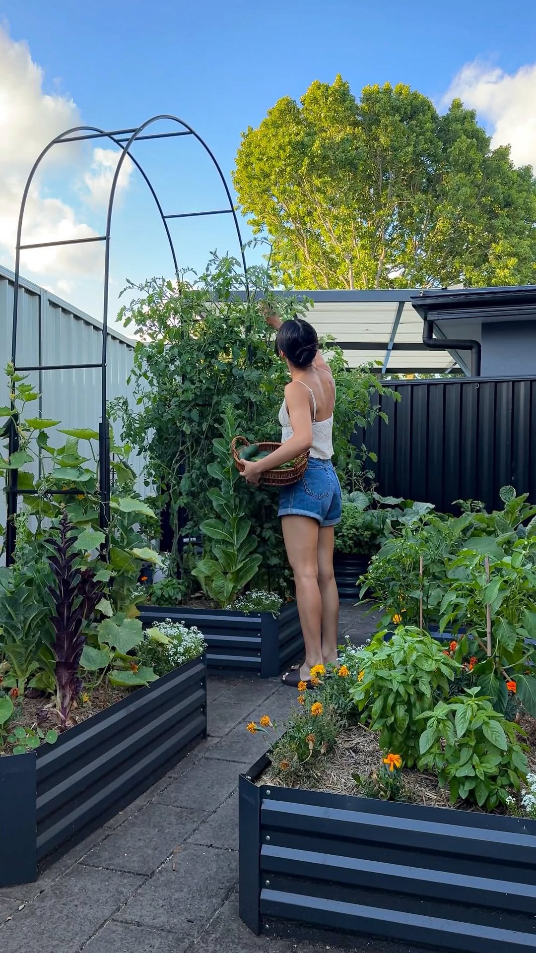 thrivingonplants 게시물 이미지: My idea of rich 🌿🌻🧺☀️🥬

A garden bursting with...