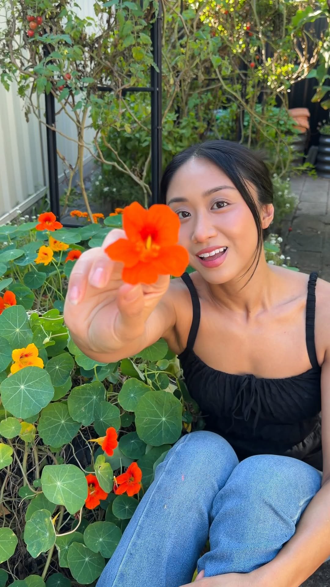 thrivingonplants 게시물 이미지: Have you ever grown nasturtiums? 🧡🌼🌿 These...