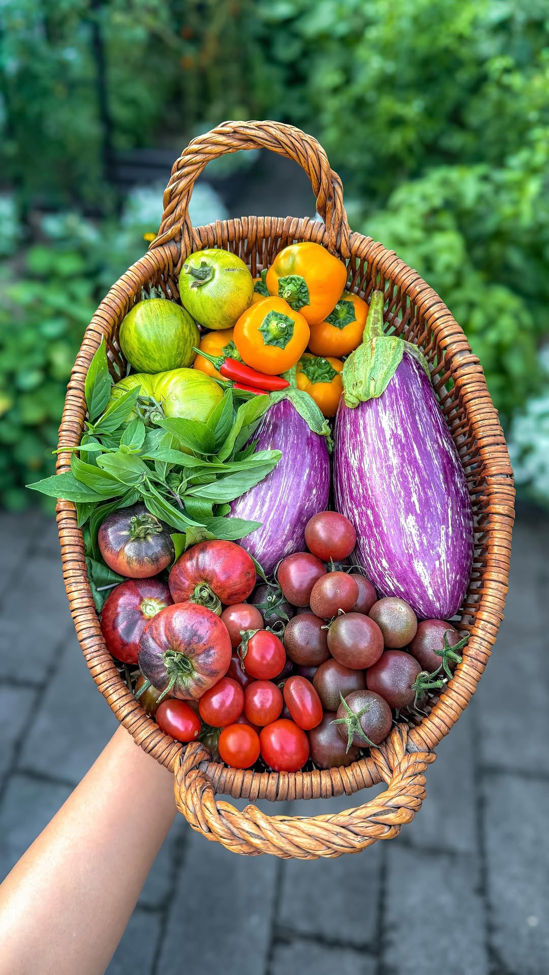 thrivingonplants 게시물 이미지: GARDEN HARVEST 🌿👩🏻‍🌾🧺 

Picking homegrown...