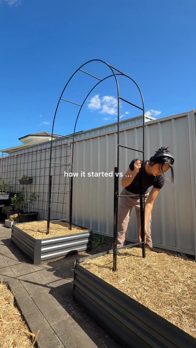 thrivingonplants 게시물 이미지: Building my dream home garden 👩🏻‍🌾🪴🍅🥬🍆 This...