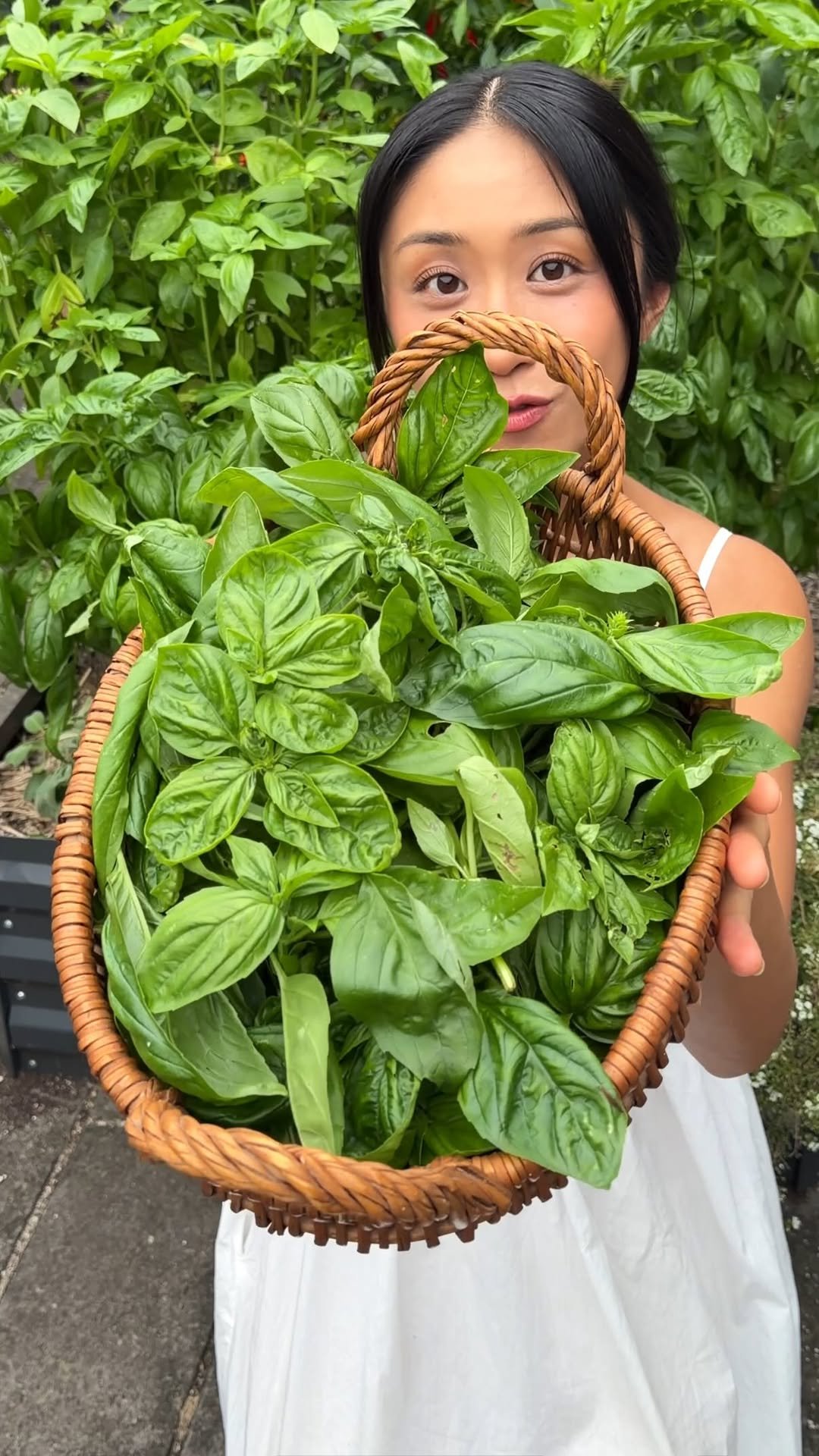 thrivingonplants 게시물 이미지: BASIL TIP! 🌿🍃 Did you know the way you prune...