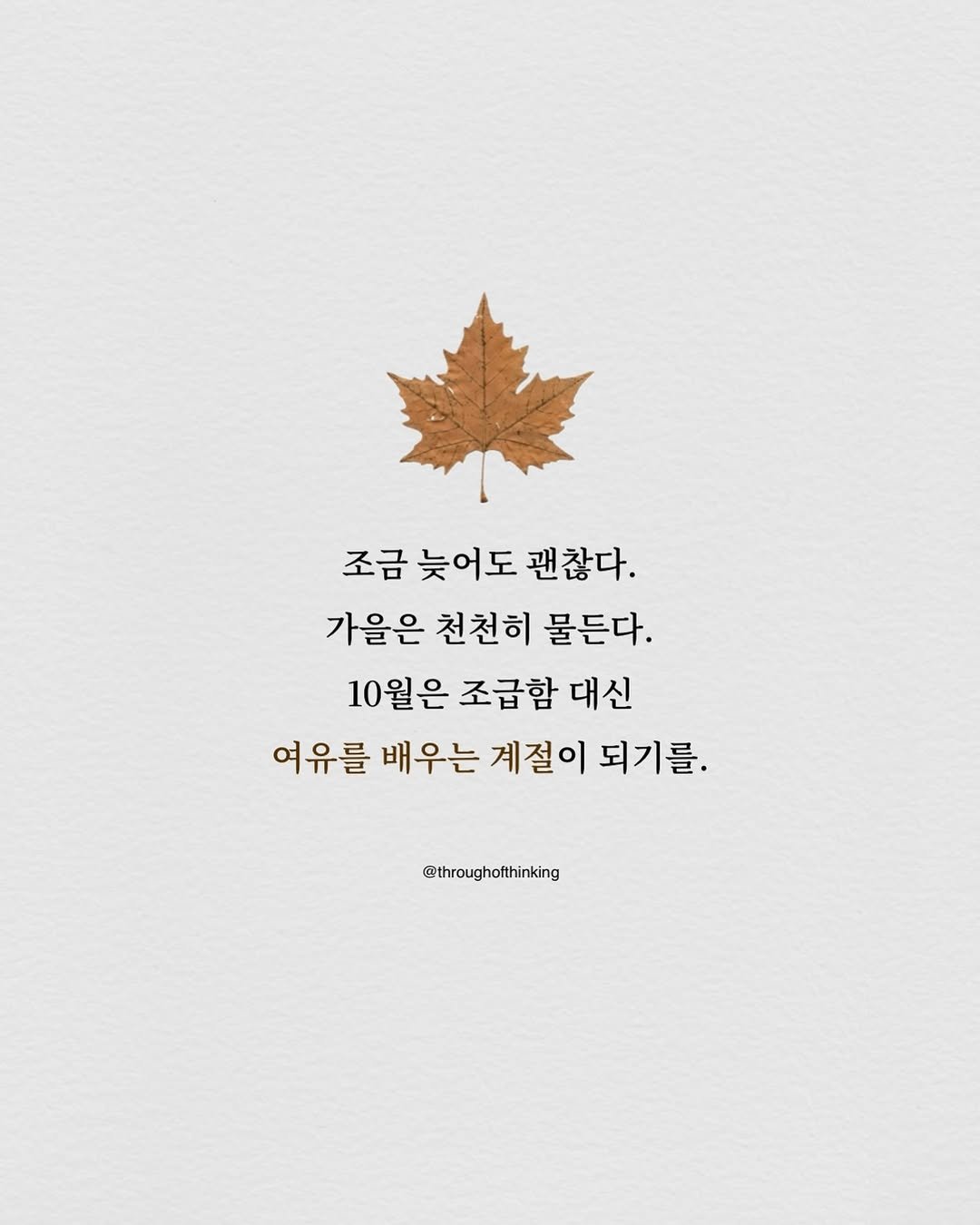 Photo by 하지수 on September 30, 2025. May be an illustration of poster and text that says '조금 늦어도 괜찮다. 가을은 천천히 물든다. 10월은 조급함 대신 여유를 배우는 계절이 되기를. @throughofthinking'.
