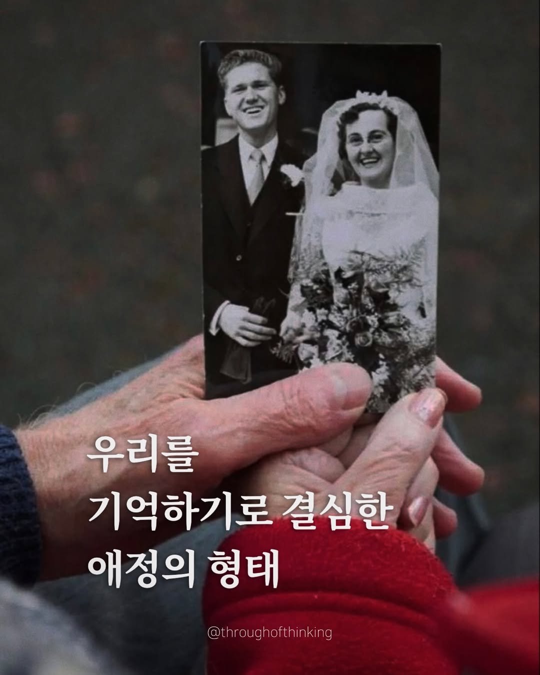 Photo by 하지수 on November 06, 2025. May be an image of one or more people and text that says '우리를 기억하기로 결심한 애정의 형태 @throughofthinking rougho'.