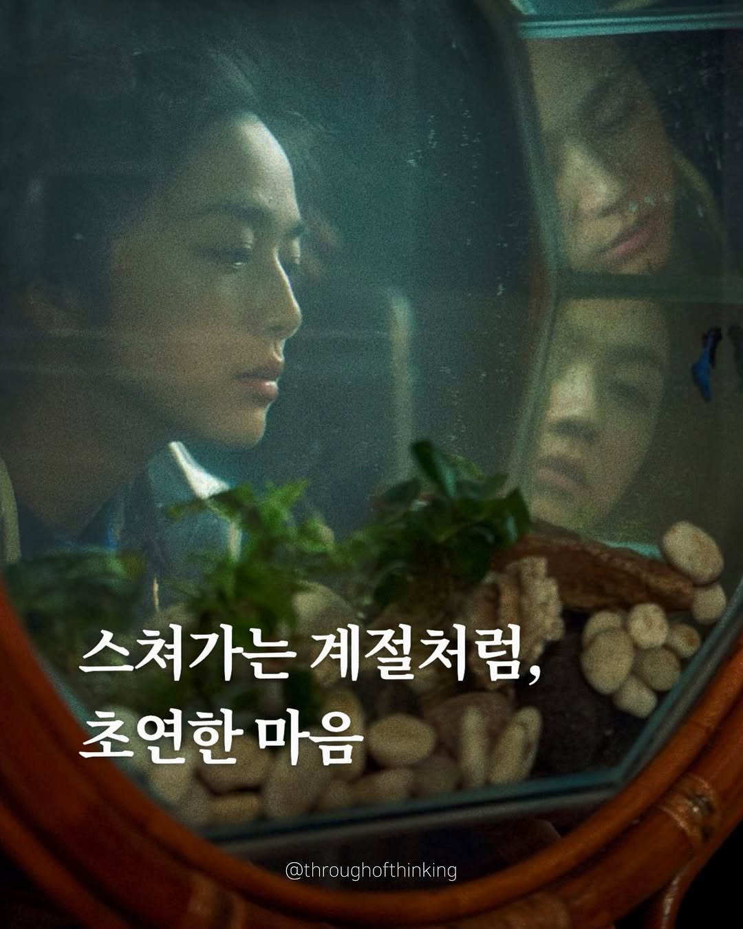 Photo by 하지수 on September 20, 2025. May be an image of ‎1 person, poster and ‎text that says '‎스쳐가는 계절처럼, 초연한 마음 @throughofthinking of f @throu ה oft ٢ ai inking‎'‎‎.