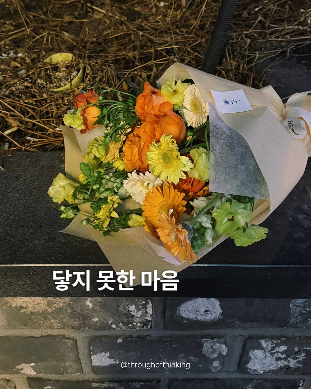 throughofthinking 게시물 이미지: 얼마 전 집 앞 쓰레기 수거장 앞에서 버려진 꽃다발을 보았다. 버려진 꽃을 보면...