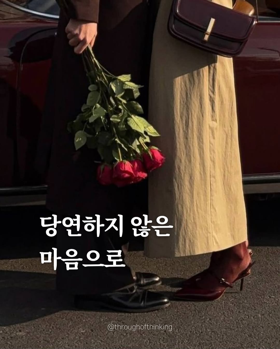 Photo by 하지수 on October 23, 2025. May be an image of baby's-breath and text.