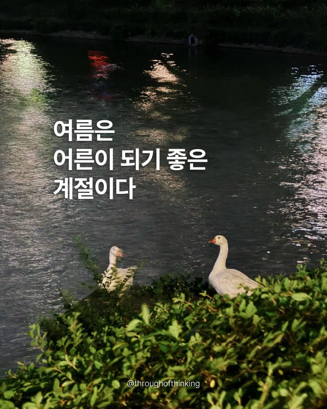 throughofthinking 게시물 이미지: 세상에는 삶을 더 살아온 사람들이 말하는 법칙들이 있다. 그 말이 모두 정답은...