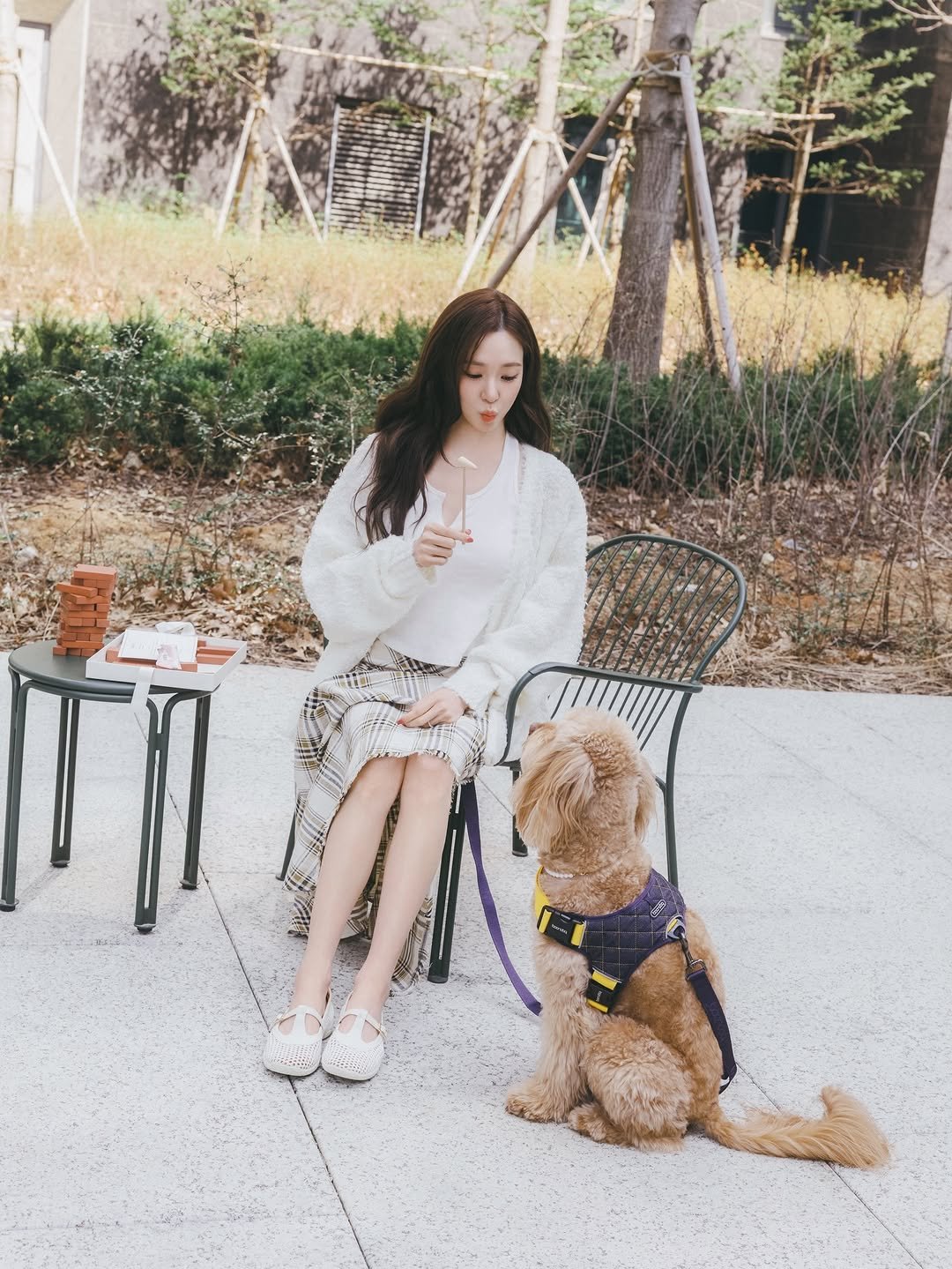Photo by tiffany young on March 30, 2026. May be an image of Bedlington terrier, picnic and text.