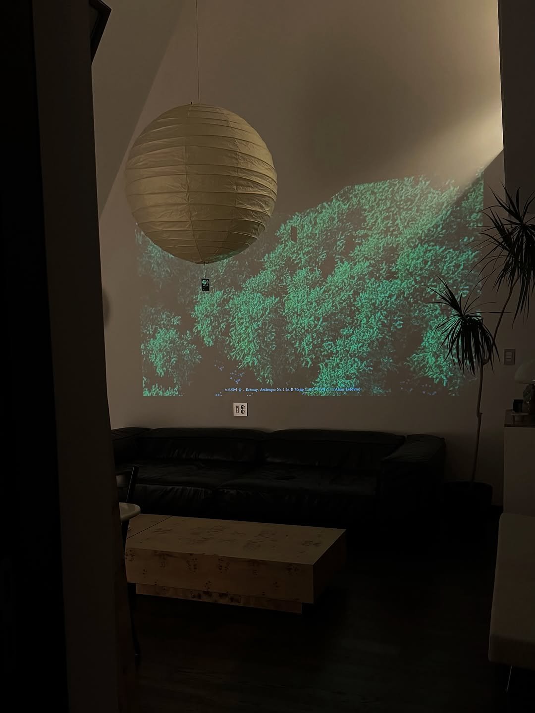 Photo by 티슈 on July 21, 2025.