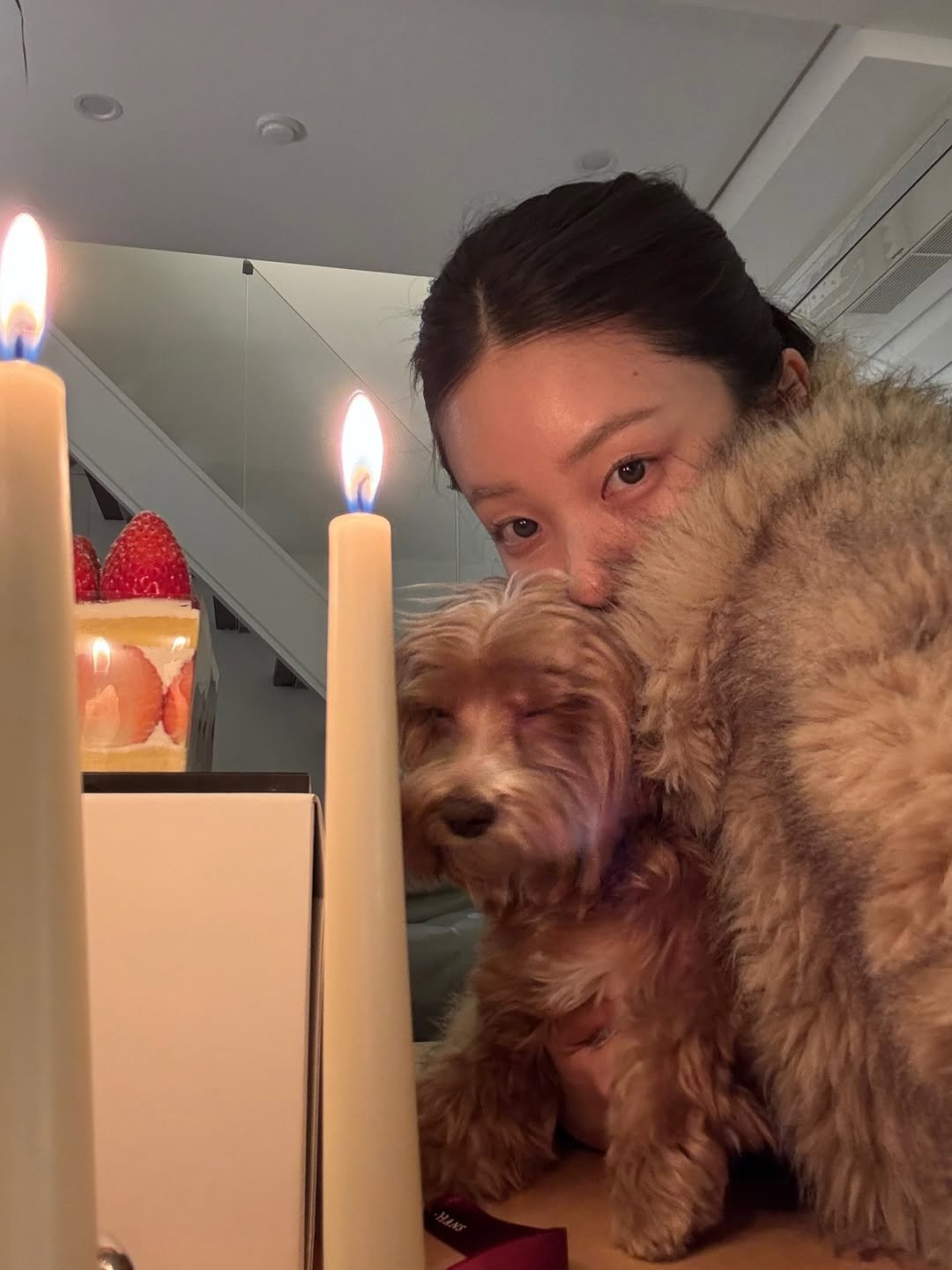 Photo by 티슈 on December 25, 2025. May be an image of Norwich terrier, Bedlington terrier, cocker spaniel, candle holder, candle, fur and text.