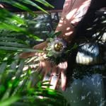 jormak_flower 프로필 사진