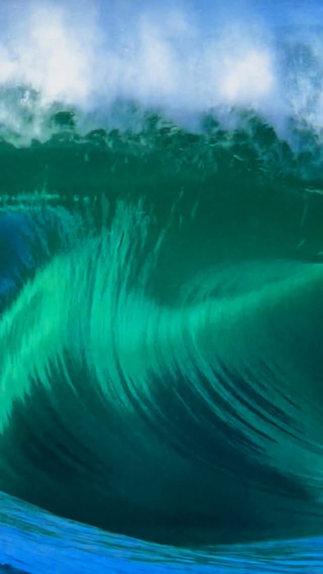 tim_bonython_swellchasers 게시물 이미지: Would have you wanted to go this wave??...