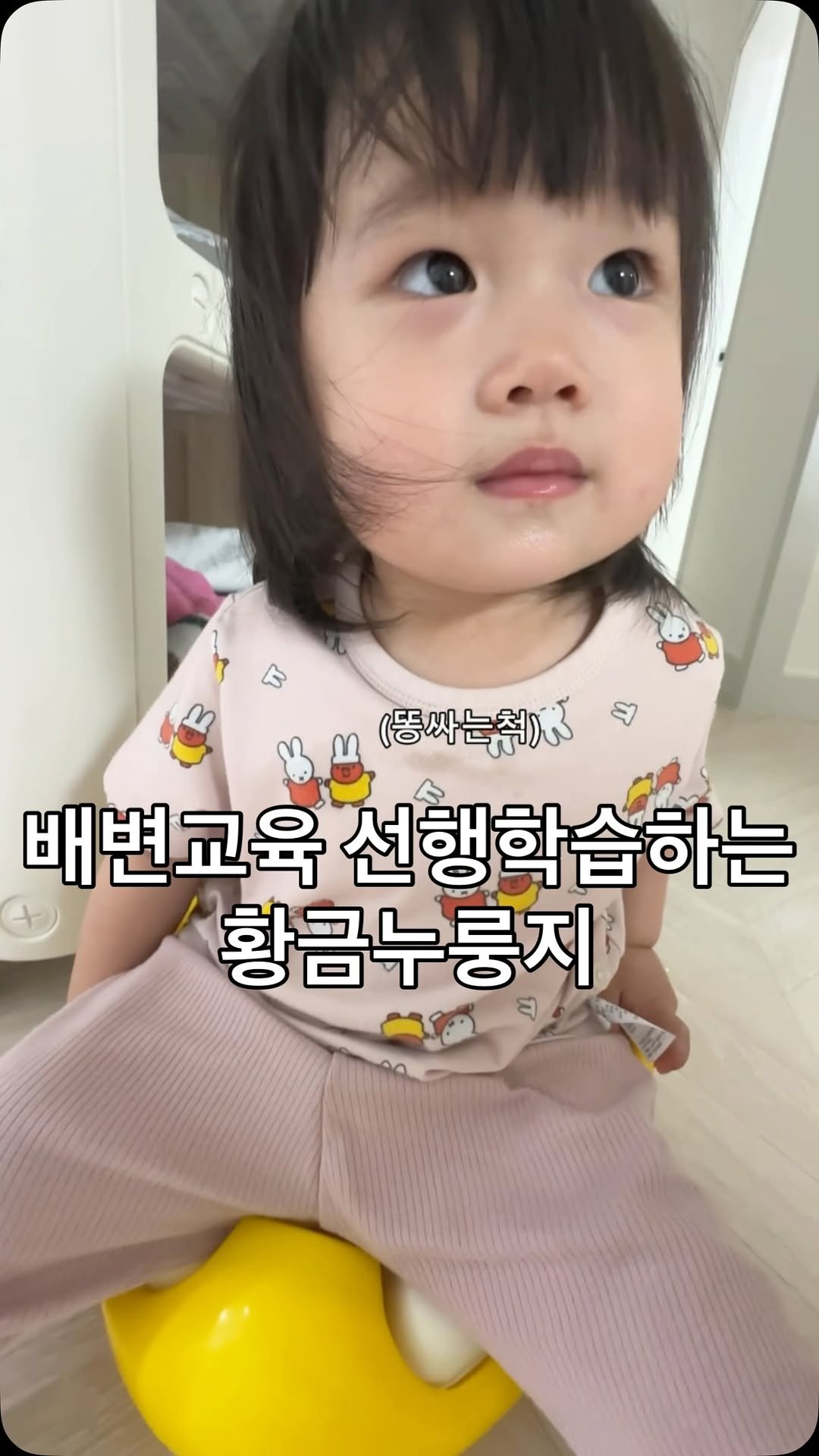 tiny_namu09 게시물 이미지: 저 뽀로로 변기에서 진짜 똥싸면 행가래해줄거임

#릴스초보 #릴스추천 #청룡띠아기...
