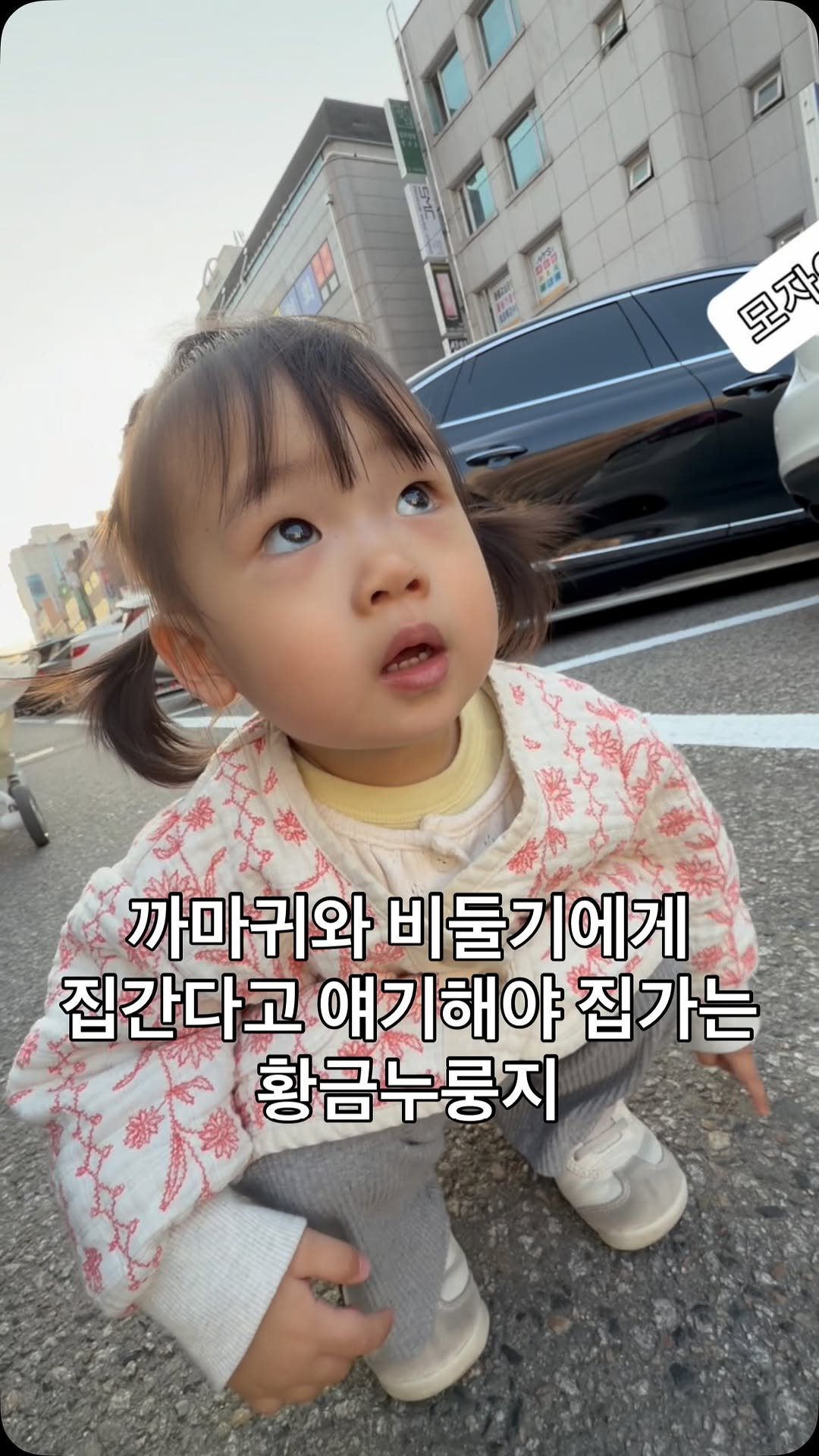 tiny_namu09 게시물 이미지: (애미는 조류공포증이 약간 있음)

#릴스초보 #릴스추천 #청룡띠아기...