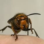 jix_sp 프로필 사진
