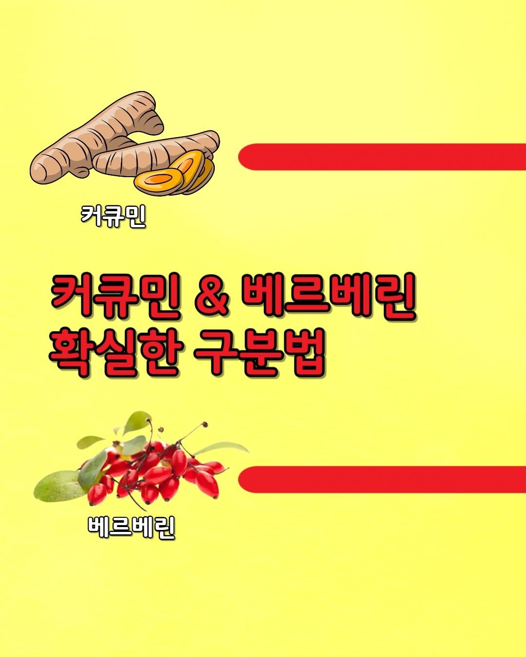 Photo by 영양제 디자이너,  두꺼비팜🐸 on December 01, 2025. May be an image of text that says '커큐민 커큐민 & 베르베린 확실한 구분법 베르베린'.