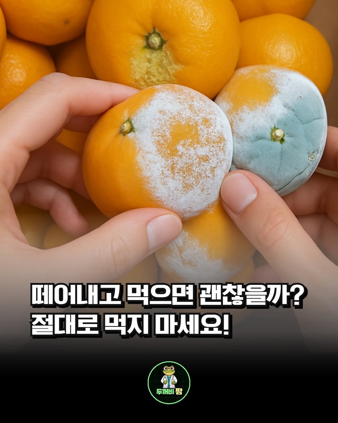 Photo by 영양제 디자이너,  두꺼비팜🐸 on November 30, 2025. May be an image of mandarin, vegetable, pomelo and text that says '떼어내고 먹으면 괜찮을까? 절대로 먹지 마세요! - 03 두꺼비 팜'.