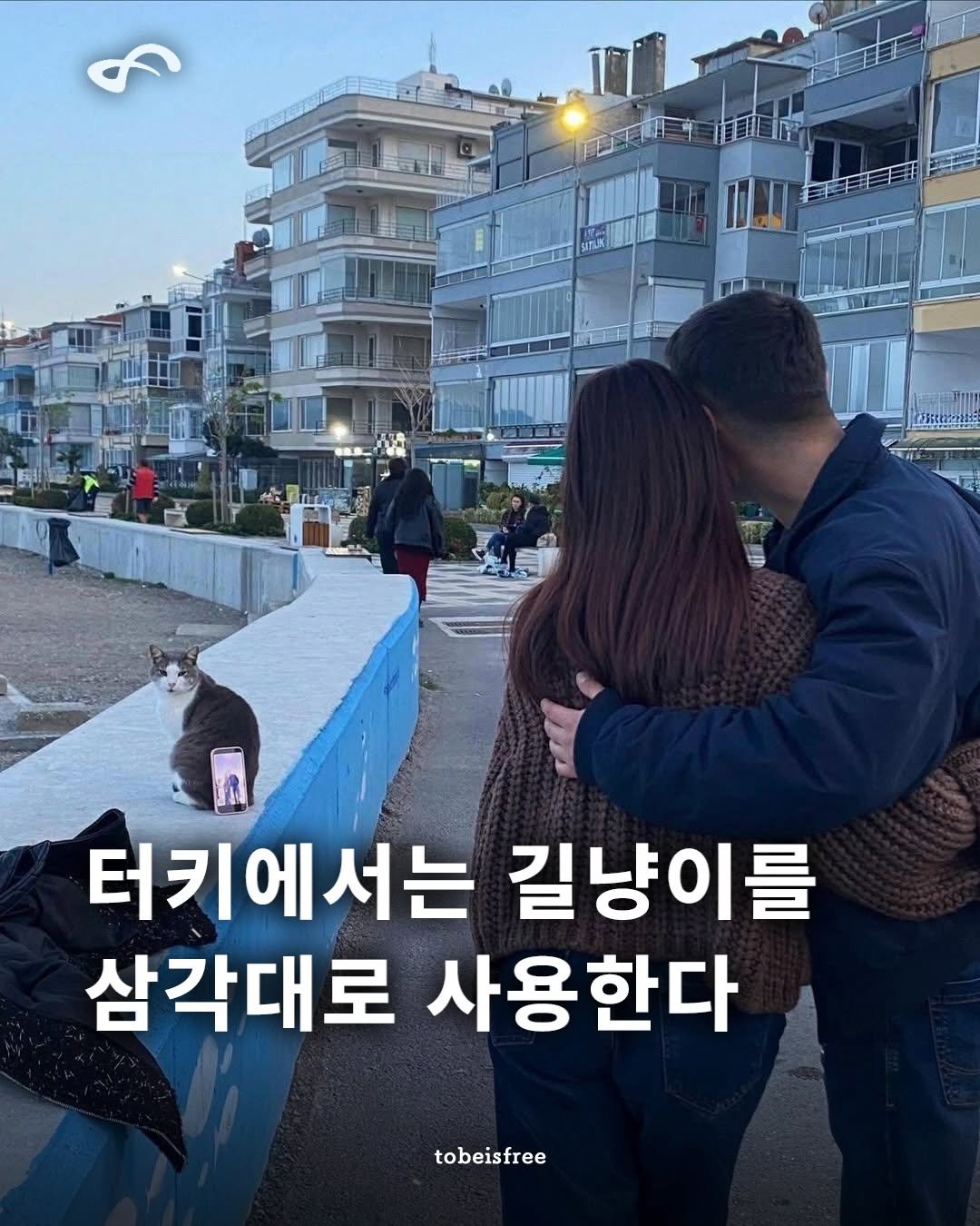 Photo by 토비 | TOBE on April 23, 2026. May be an image of text that says '터키에서는 길냥이를 삼각각대로 사용한다 tobeisfree'.