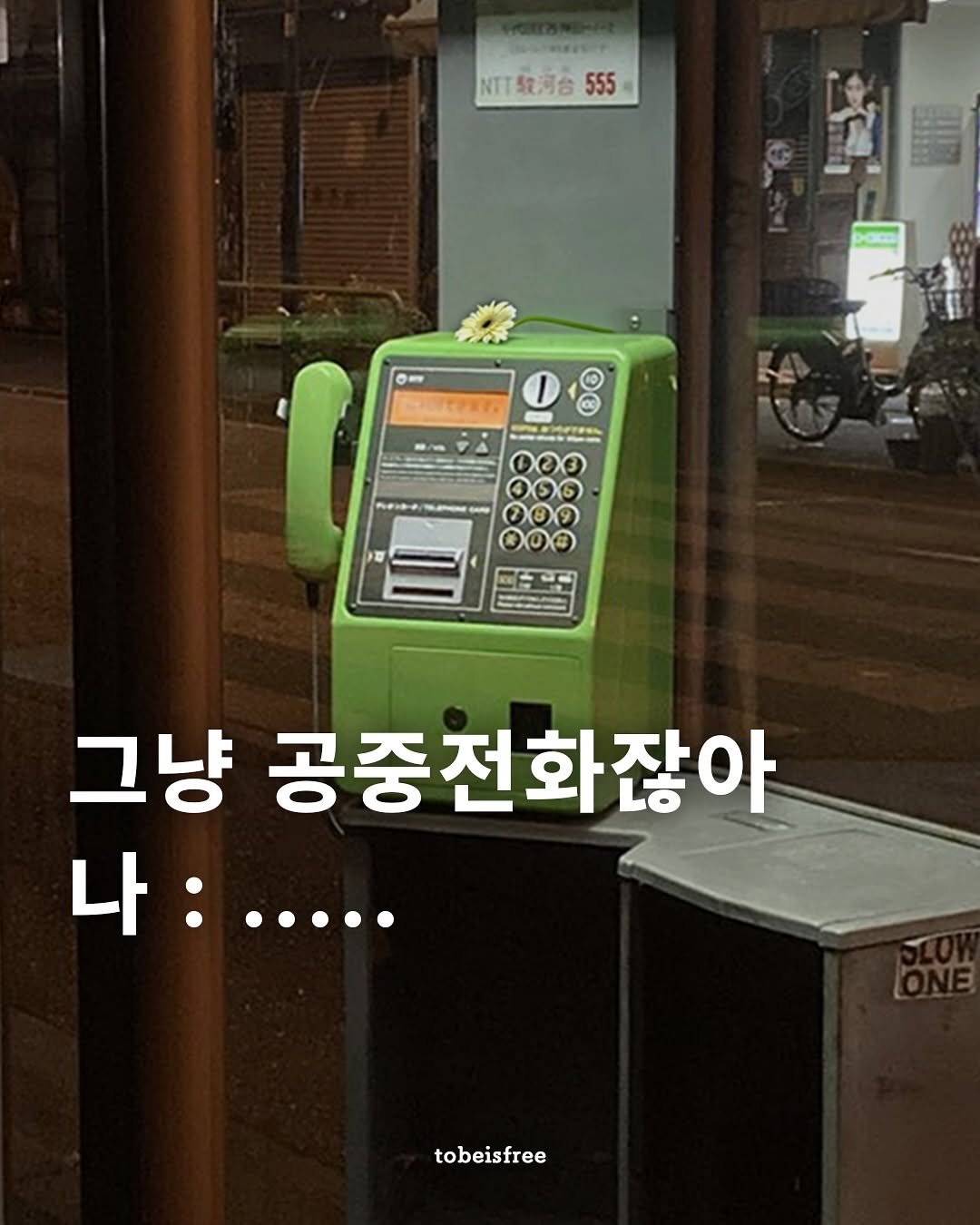 Photo by 토비 | 여행하는 프리랜서 on October 05, 2025. May be an image of parking meter, cash machine and text that says 'NTT河台 555 Om ይ8 1 FTO 003 400 209 그냥 공중전화잖아 나:.... tobeisfree'.