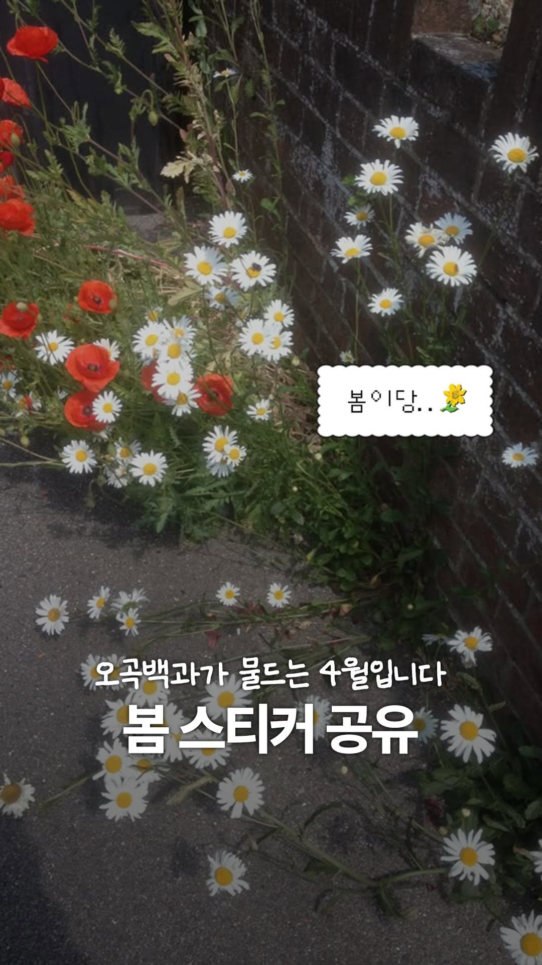 tobezyk 게시물 이미지: [무료 공유 이벤트 종료🚫] 
@dingdongirl_ 팔로우하고 ˚₊‧꒰ა 복잡한...