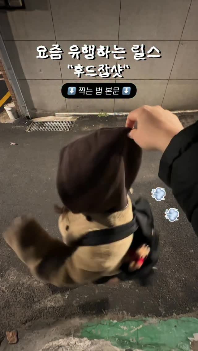 tobezyk 게시물 이미지: ✨ #후드잡샷 릴스 찍는 법!

1️⃣ 찍어주는 사람이 살짝 높은 곳에 올라가서...