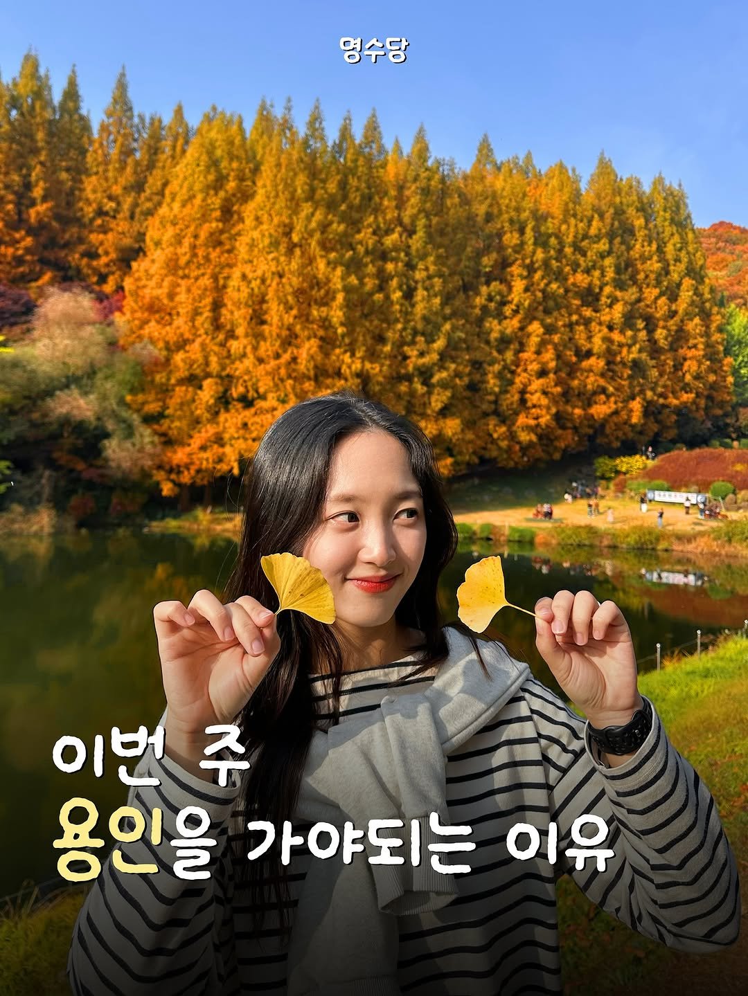 Photo by 짱이 될 윤경 on November 09, 2025. May be an image of outdoors and text that says '명수당 이번 주 용인을 가야되는 이유'.