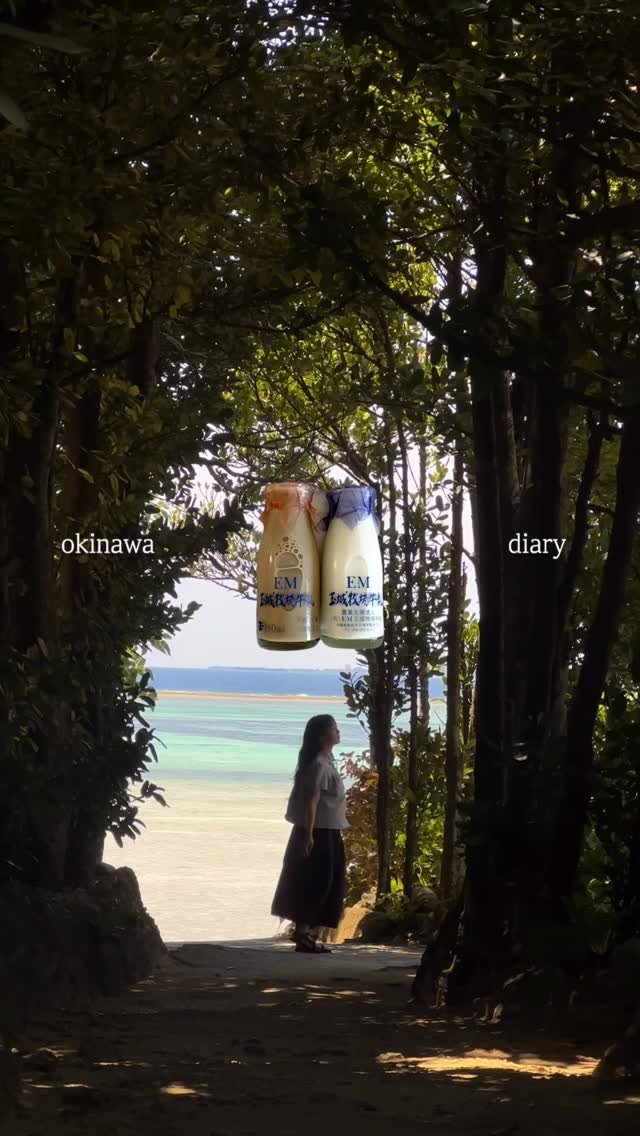 tobezyk 게시물 이미지: 𝚘𝚔𝚒𝚗𝚊𝚠𝚊 𝚍𝚒𝚊𝚛𝚢

오키나와를 다녀왔어요 
도쿄나 오사카처럼 화려한...