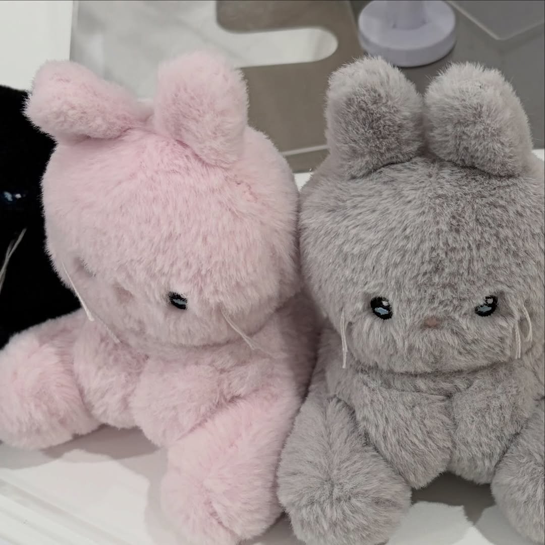 Photo by 늘헤 on January 01, 2026. May be an image of toy, pencil case and text.