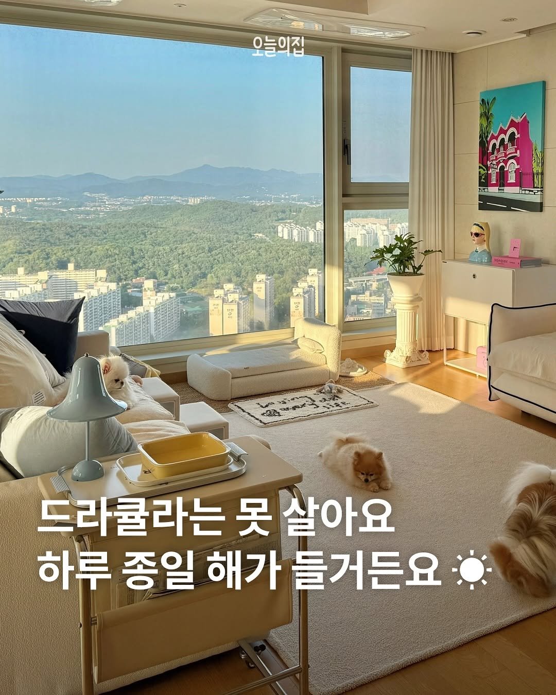 Photo shared by 오늘의집 on October 05, 2025 tagging @maison_de_kelly_. May be an image of text that says '- 오늘의집 드라큘라는 못 살아요 하루 종일 해가 들거든요'.