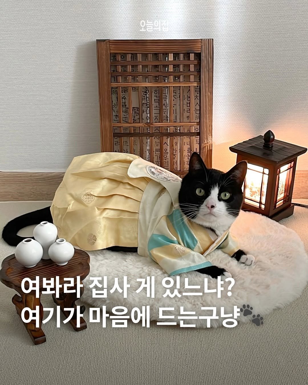 Photo shared by 오늘의집 on October 05, 2025 tagging @joyma_home. May be an image of ‎kitten and ‎text that says '‎오늘의집 3 으로 -ா் الماغعة ممم 여봐라 집사 게 있느냐? 여기가 마음에 드는구냥‎'‎‎.