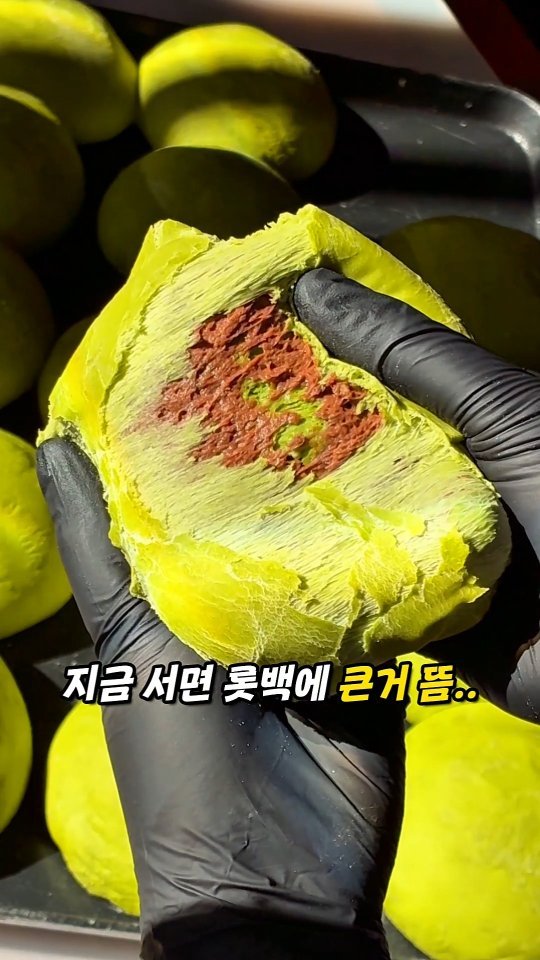todays_busan 게시물 이미지: 지금 서면 롯백 달려가야하는 이유??

맘모스 1+1 이벤트
(매일 선착순...