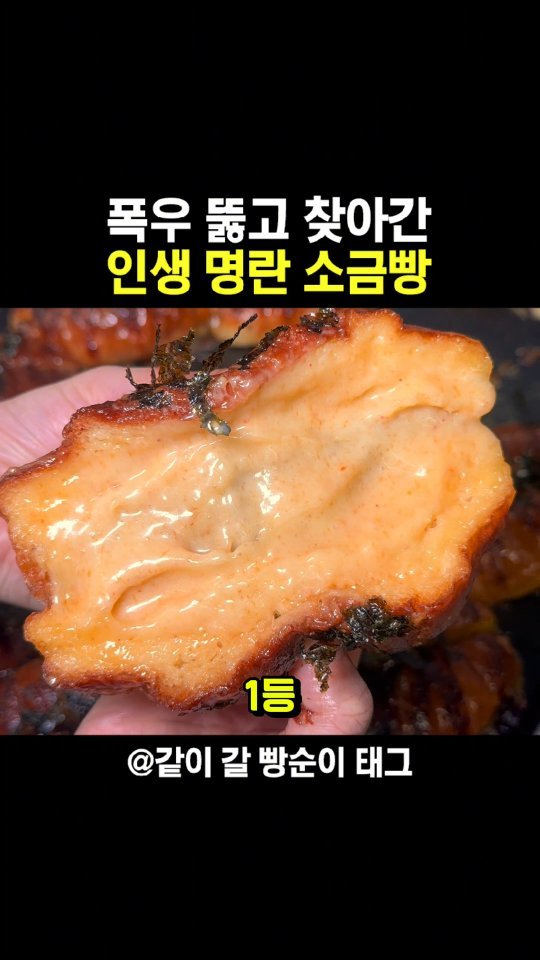 todays_busan 게시물 이미지: 내 인생 명란소금빵 찾음..

#창원 #그린하우스
경남 창원시 의창구 동읍...