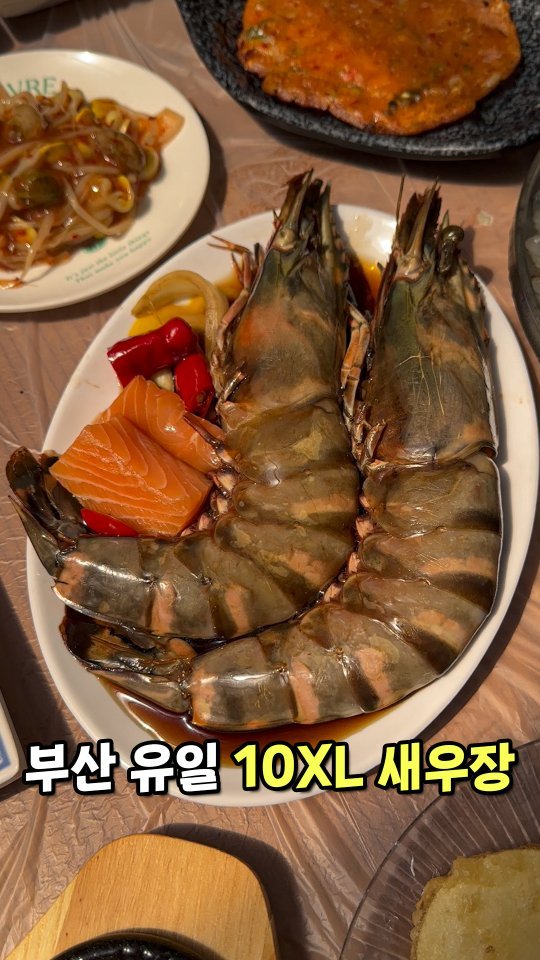 todays_busan 게시물 이미지: 부산 유일 10XL새우장?
부산 경성대에는
진짜 말도 안 되는
무려 10XL 새우...