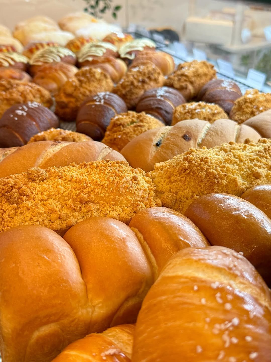 Photo by 오늘의 꾸움 / 𝘛𝘖𝘋𝘈𝘠 '𝘚 𝘋𝘙𝘌𝘈𝘔  남양읍 베이커리 맛집 on September 27, 2025. May be an image of babka, baguette, croissant, buns, bagel and text.
