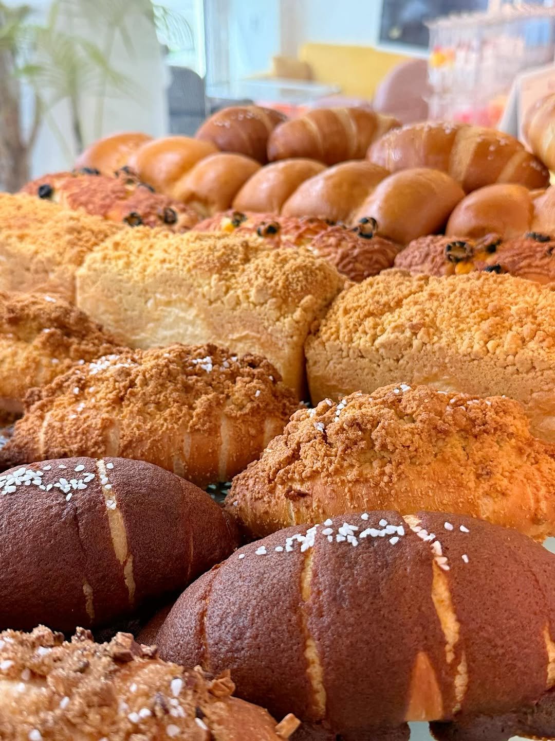 Photo by 오늘의 꾸움 / 𝘛𝘖𝘋𝘈𝘠 '𝘚 𝘋𝘙𝘌𝘈𝘔  남양읍 베이커리 맛집 on September 13, 2025. May be an image of babka, baguette, croissant, buns, bagel and text.