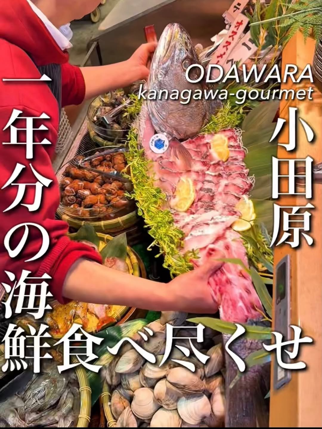Photo shared by 東京コスパグルメ／関東グルメ【公式】 on February 17, 2026 tagging @aburiya_gyoson. May be an image of sashimi, oyster, shellfish and text that says '"" ក ODAWARA kanagawa-gourmet gourmet 小 田 原 分 年 第の の の 海 鮮食べ尽 ベ尽くせ せ'.