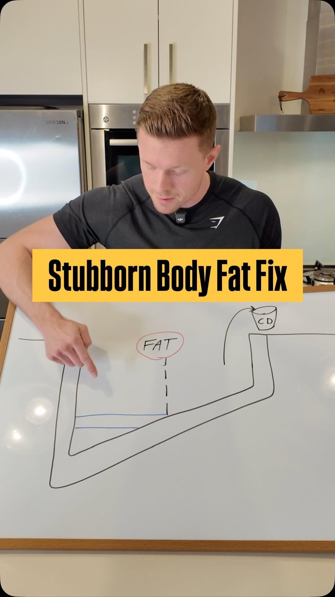 tombaileypt 게시물 이미지: 🤯 The BEST Explanation Of Stubborn Body Fat...