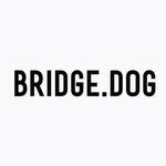 bridge.dog_official 프로필 사진