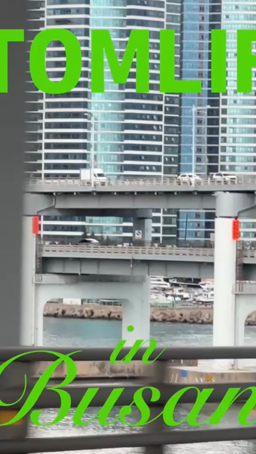 tomlif_official 게시물 이미지: 몹시 재밌었던 케이펫페어 부산 첫째날🧢
주말엔 어떤 작은 친구들을 만나게 될지-!...