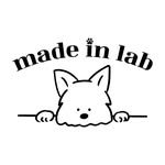 madeinlab_dally 프로필 사진
