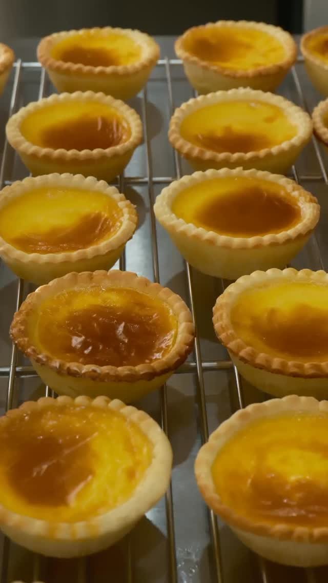 tomlif_official 게시물 이미지: 뜨거운 열기를 식혀보자 🪶

⠀
⠀
⊹
TOMLIF
TO MY LITTLE...