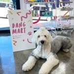 dang_mart 프로필 사진